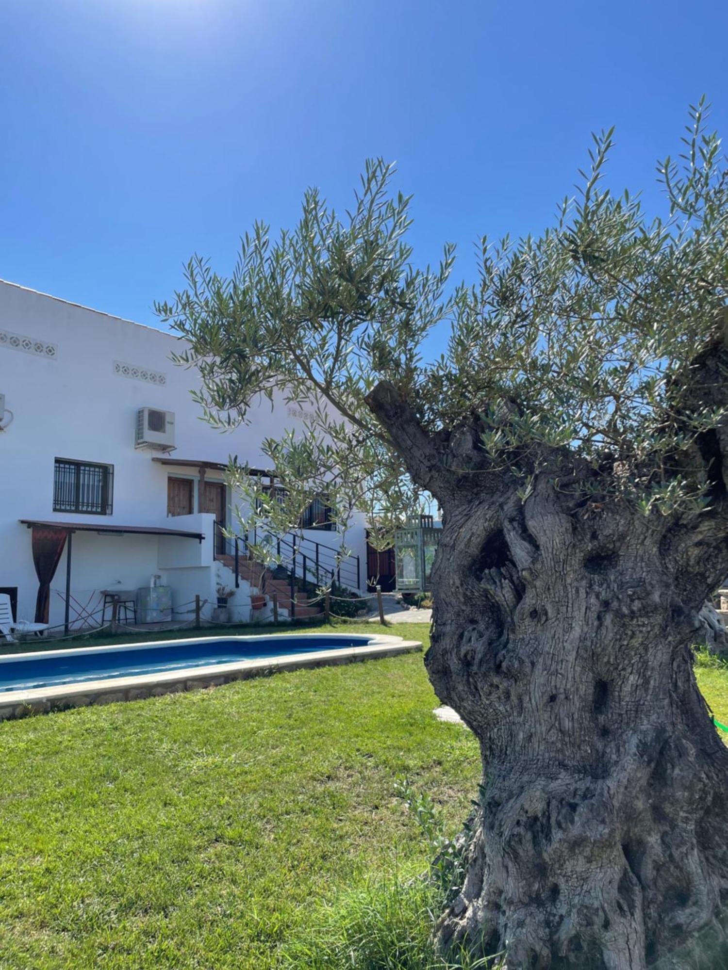 Casa Rural El Miajon Villa El Campo  Esterno foto